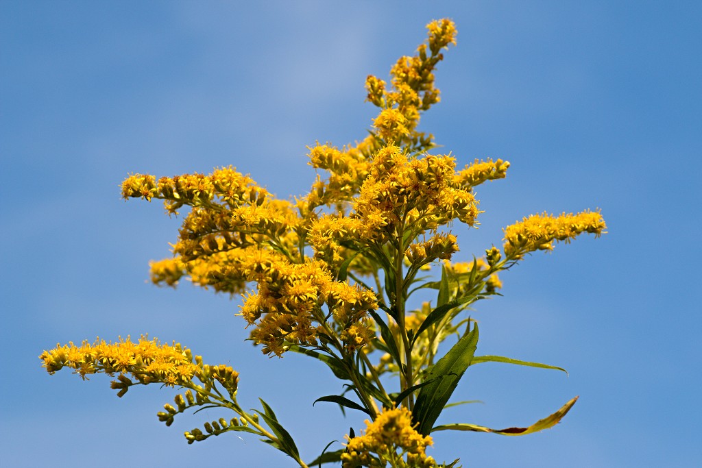 tiengemeten natuur natuurgebied natuurmonumenten hdr schotse hooglanders rien poortvliet museum eiland polder platteland